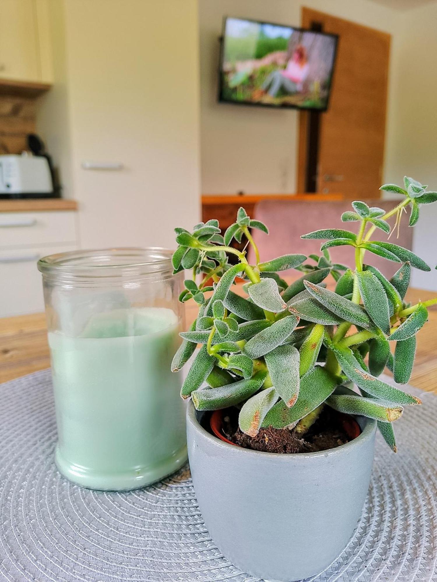 Appartements Kolberhof 알프바취 외부 사진